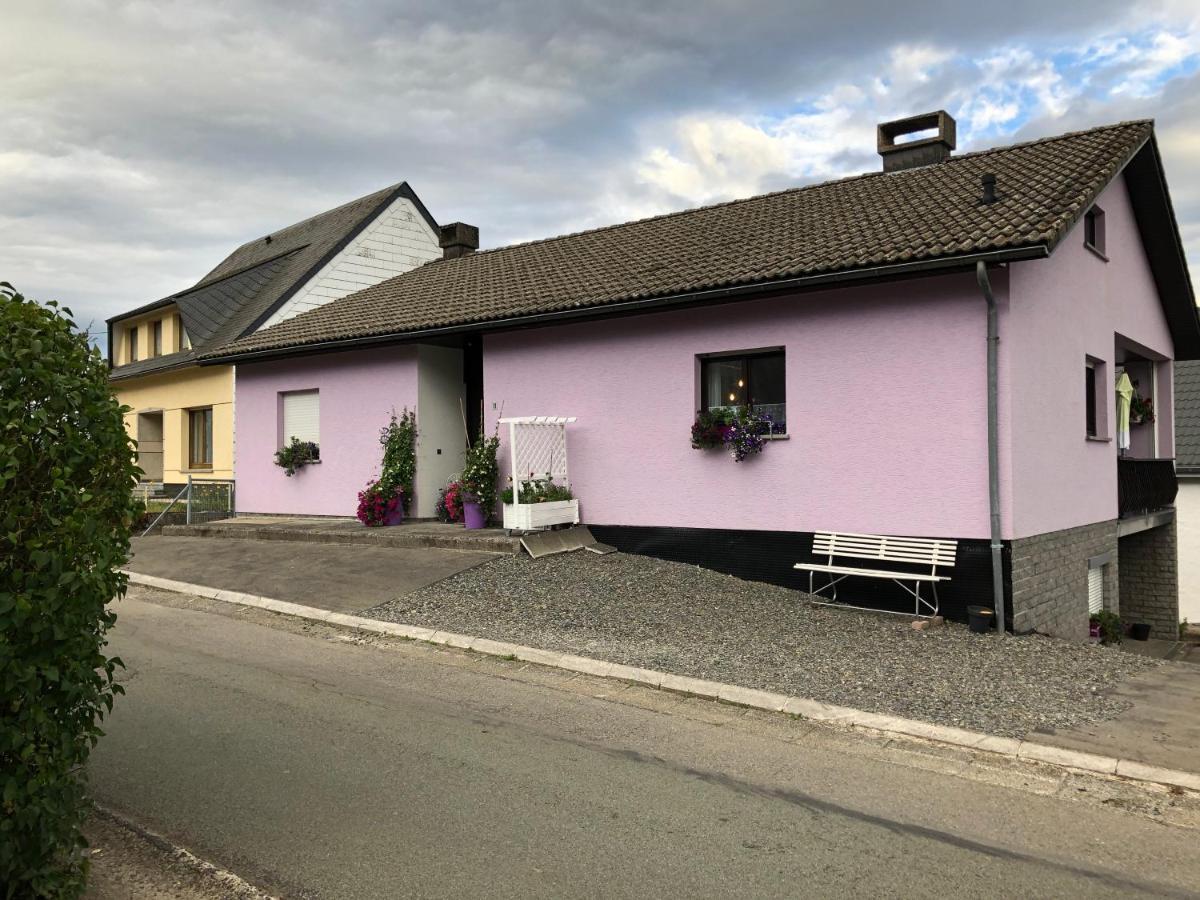Villa Haus Zissi Burg Reuland Exterior foto